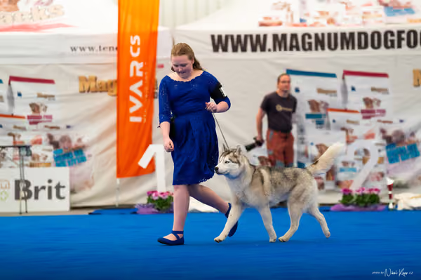 For Pets Cup — DSC02011
