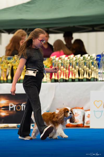 For Pets Cup — DSC02015