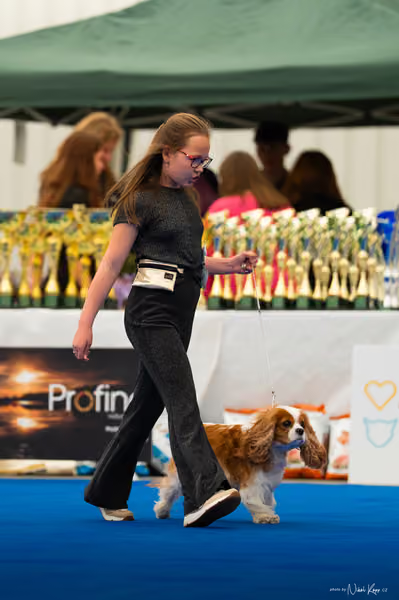 For Pets Cup — DSC02016