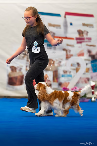 For Pets Cup — DSC02018