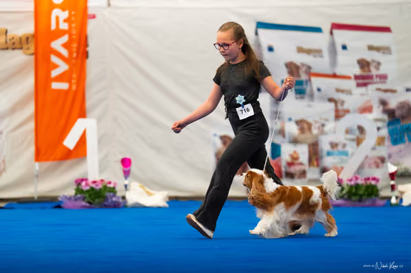 For Pets Cup — DSC02020