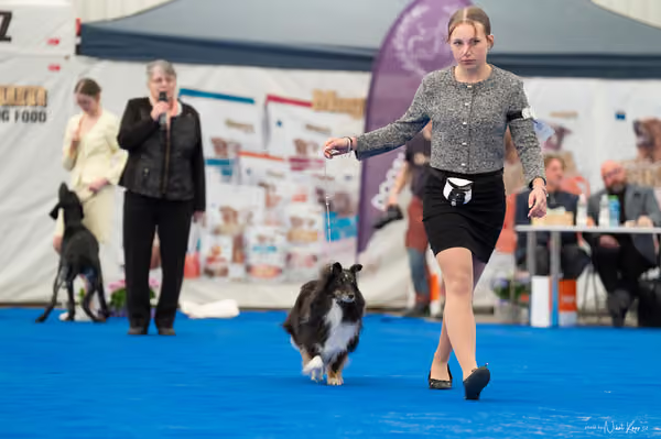 For Pets Cup — DSC02115