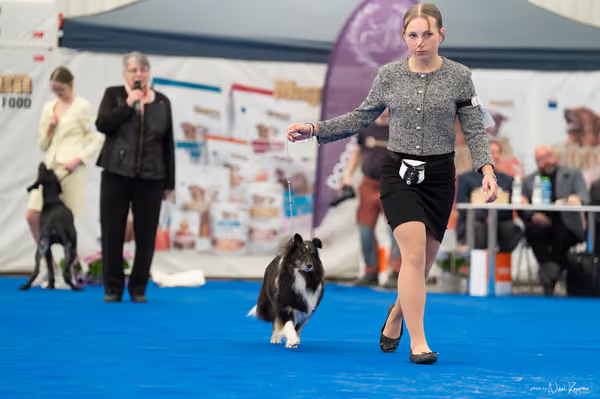 For Pets Cup — DSC02116