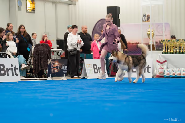 For Pets Cup — DSC02117