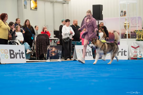 For Pets Cup — DSC02118