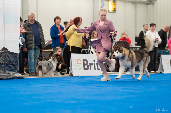 For Pets Cup — DSC02121