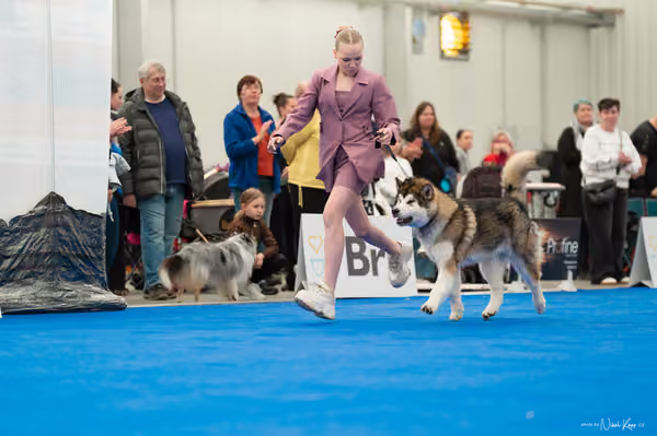 For Pets Cup — DSC02124