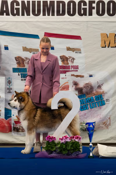 For Pets Cup – JH2