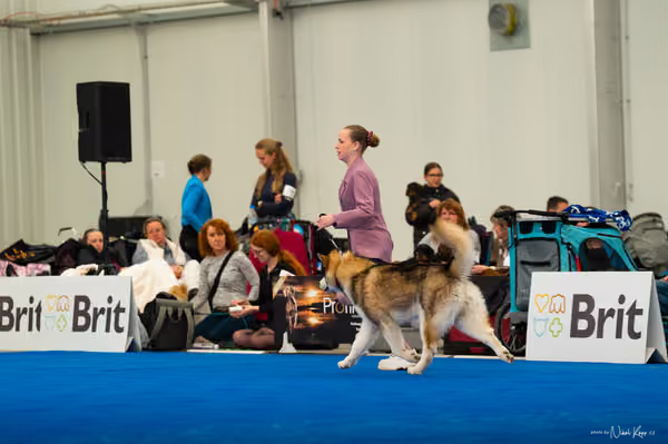 For Pets Cup — DSC02066