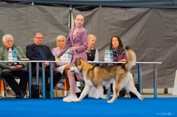 For Pets Cup — DSC02067