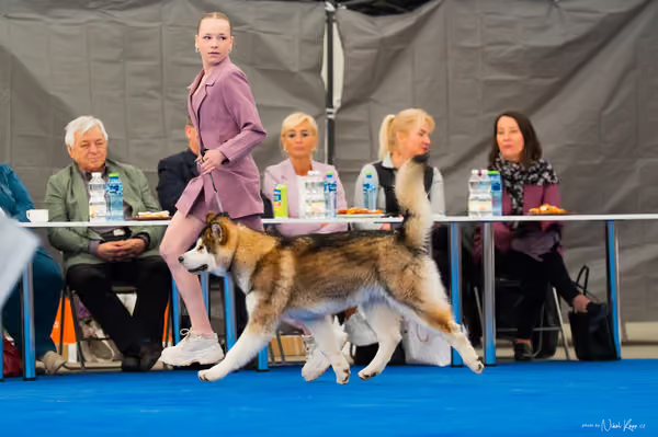 For Pets Cup — DSC02070