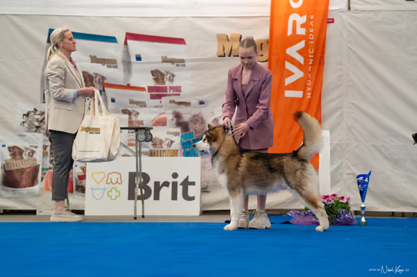 For Pets Cup — DSC02082