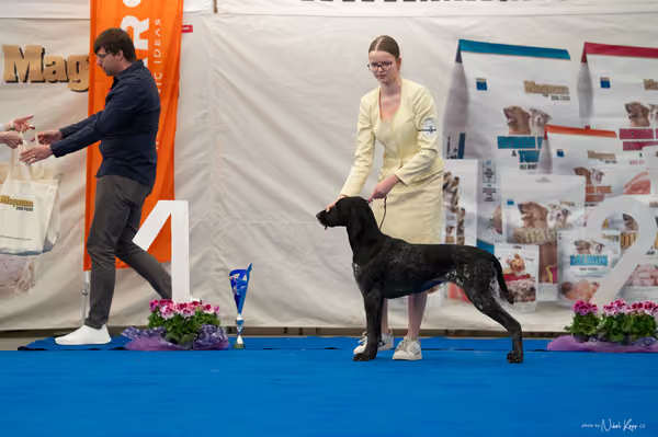 For Pets Cup — DSC02083