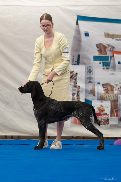 For Pets Cup — DSC02085