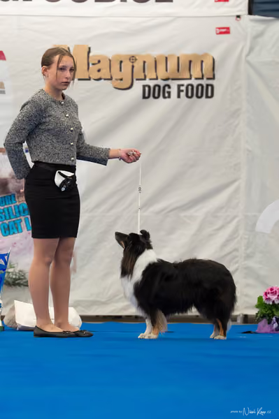 For Pets Cup — DSC02086