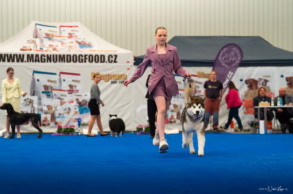 For Pets Cup — DSC02090
