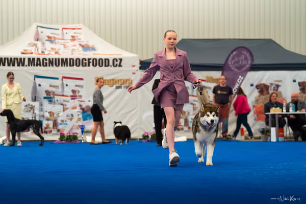 For Pets Cup — DSC02091
