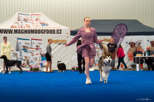 For Pets Cup — DSC02092
