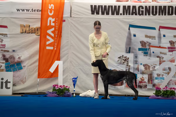 For Pets Cup — DSC02094