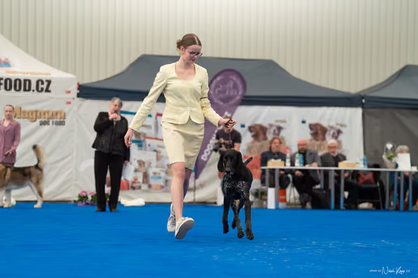 For Pets Cup — DSC02098