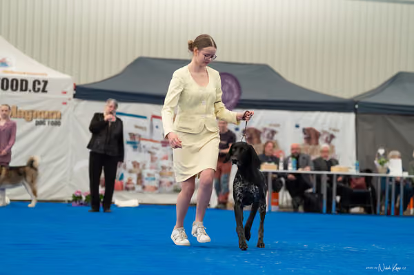 For Pets Cup — DSC02102