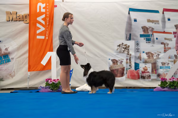 For Pets Cup — DSC02103