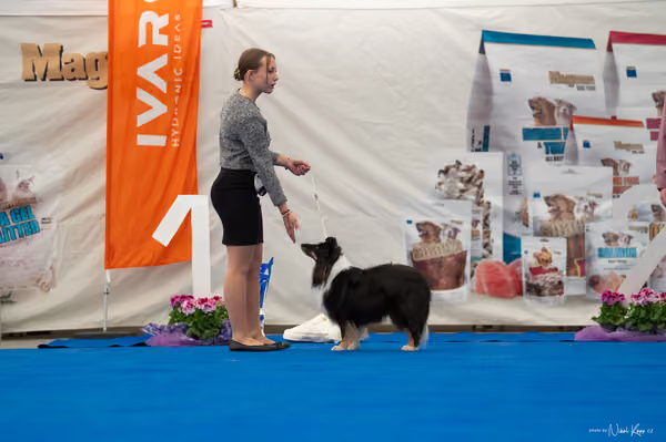 For Pets Cup — DSC02104