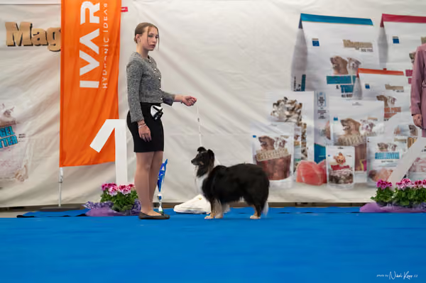 For Pets Cup — DSC02105