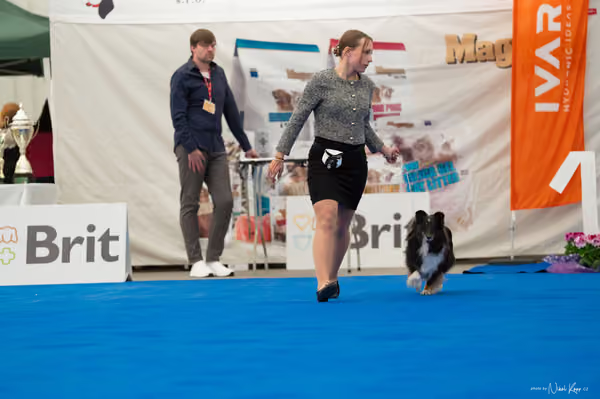 For Pets Cup — DSC02107