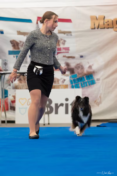 For Pets Cup — DSC02108