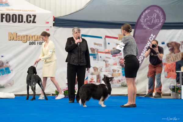 For Pets Cup — DSC02110
