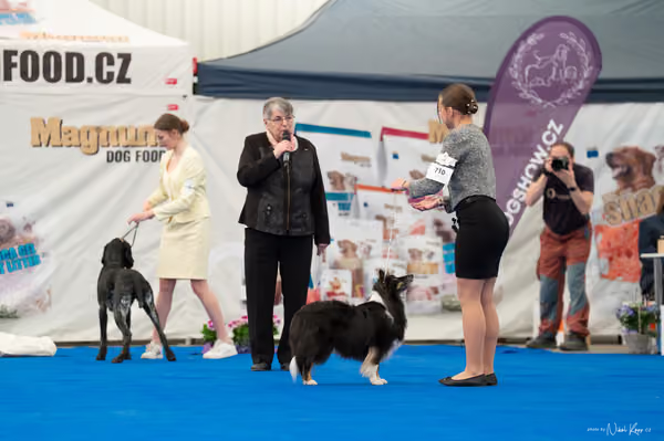 For Pets Cup — DSC02111