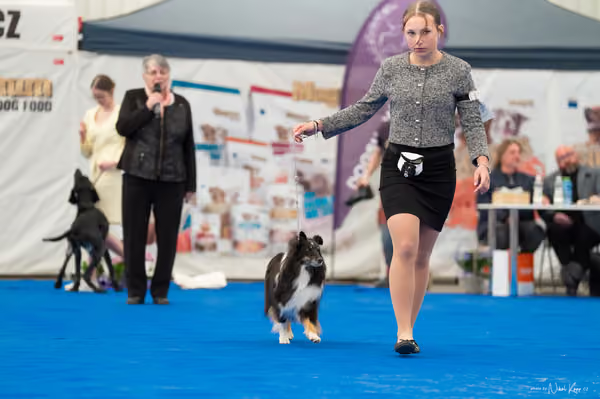 For Pets Cup — DSC02113