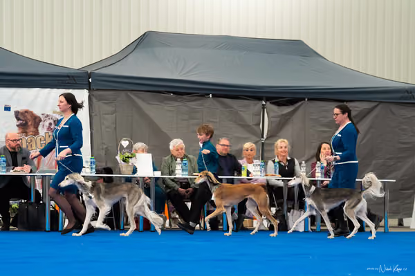 For Pets Cup — DSC02360