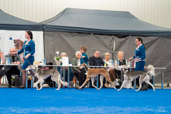 For Pets Cup — DSC02361