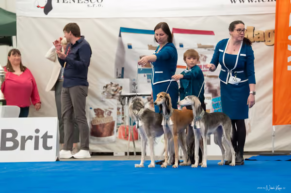 For Pets Cup — DSC02368