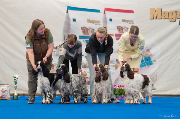 For Pets Cup — DSC02372