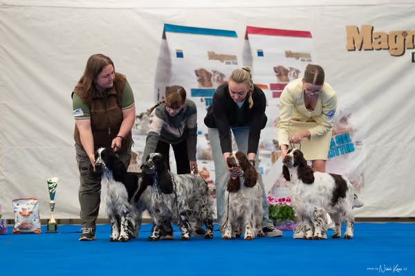 For Pets Cup — DSC02373
