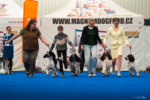 For Pets Cup — DSC02384