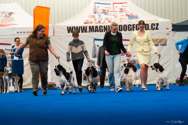For Pets Cup — DSC02387