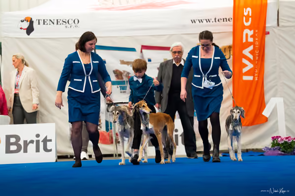 For Pets Cup — DSC02388