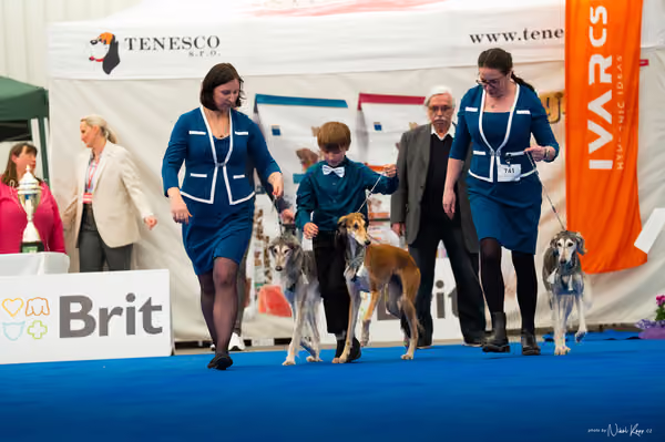 For Pets Cup — DSC02391