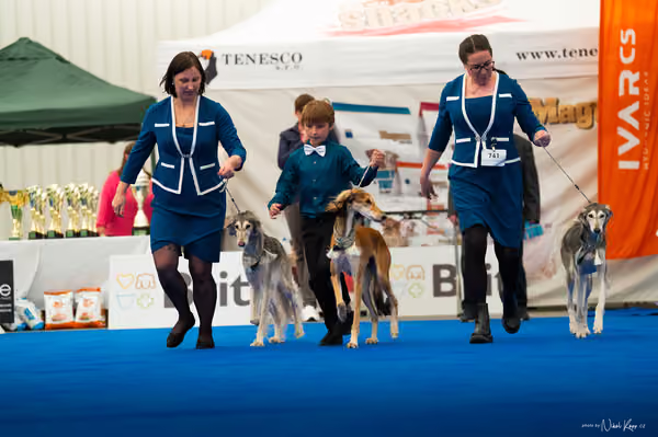 For Pets Cup — DSC02395