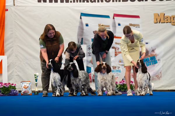 For Pets Cup — DSC02397