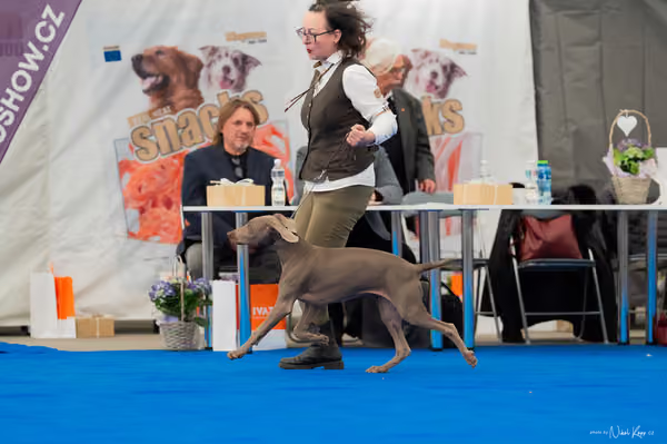 For Pets Cup — DSC02422