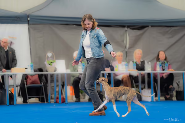 For Pets Cup — DSC02425