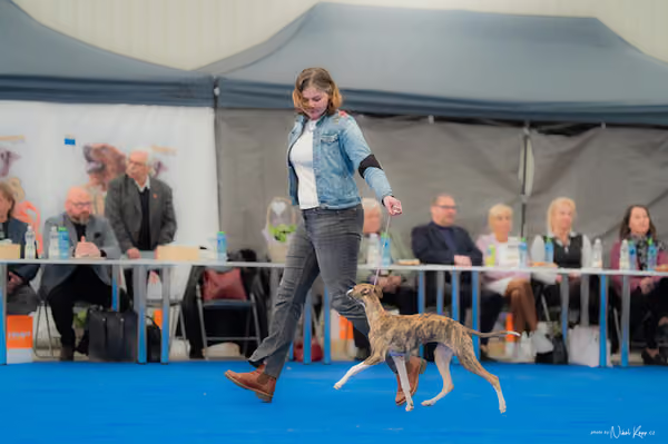 For Pets Cup — DSC02428