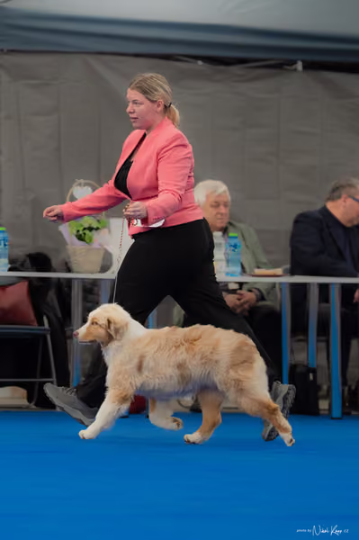 For Pets Cup — DSC02436