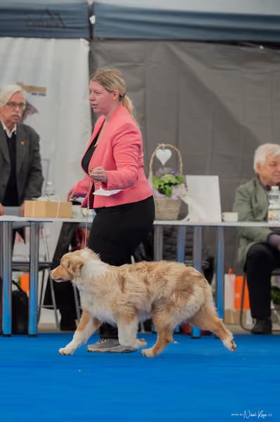 For Pets Cup — DSC02439