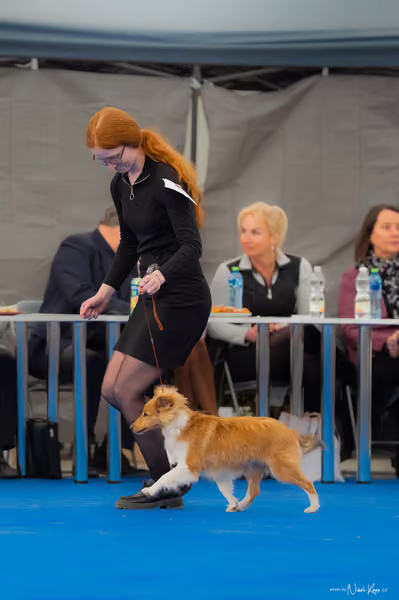 For Pets Cup — DSC02443